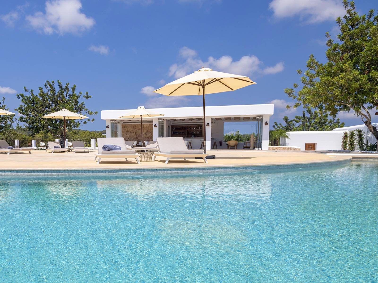 UN LAGON PRIVE DANS VOTRE JARDIN - MOSAÏQUE ASH