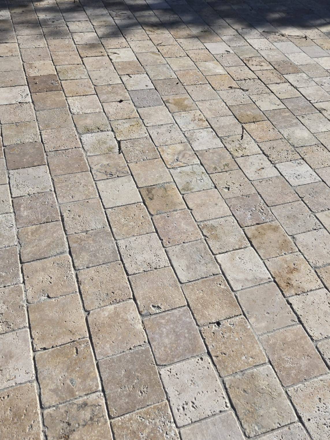 Pavé travertin beige