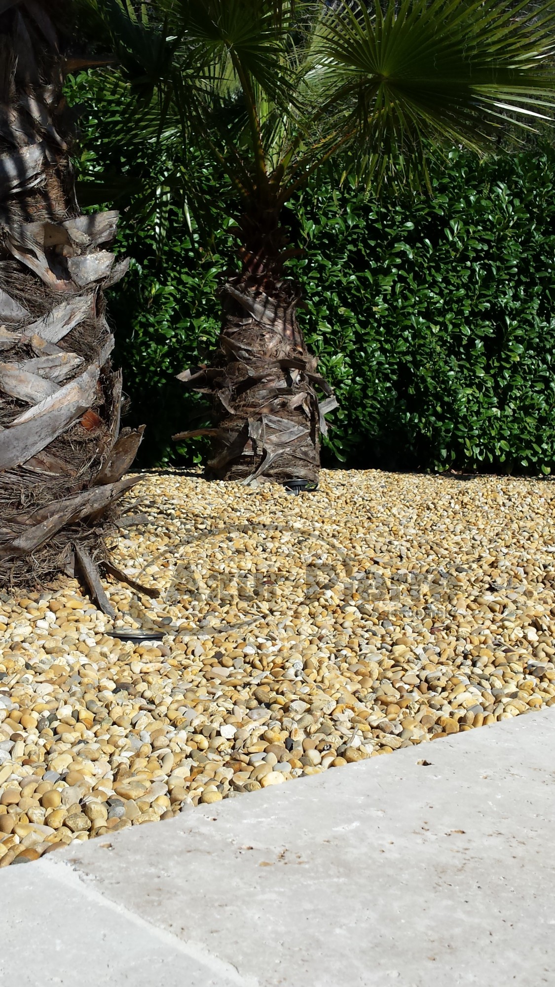 galet jaune roulé de provence