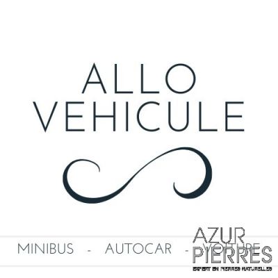 allo véhicule